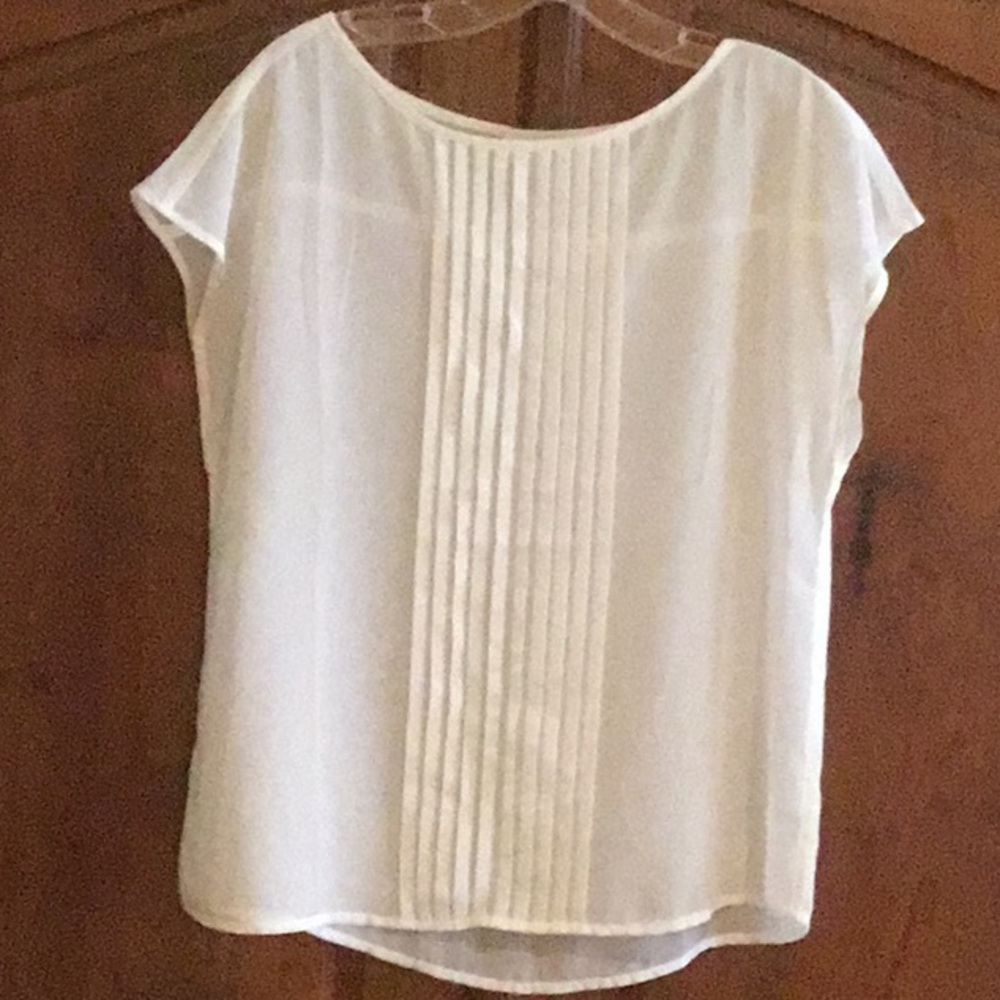 $5.00 Friday     Sheer - Two Beautiful Sheer Tops (2) EUC, L, Cream & Taupe